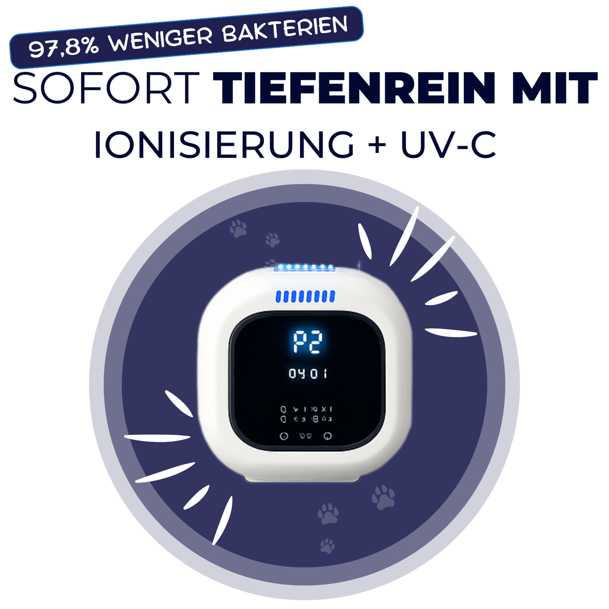 Tiefenreinigung Ionisierung + UV-C