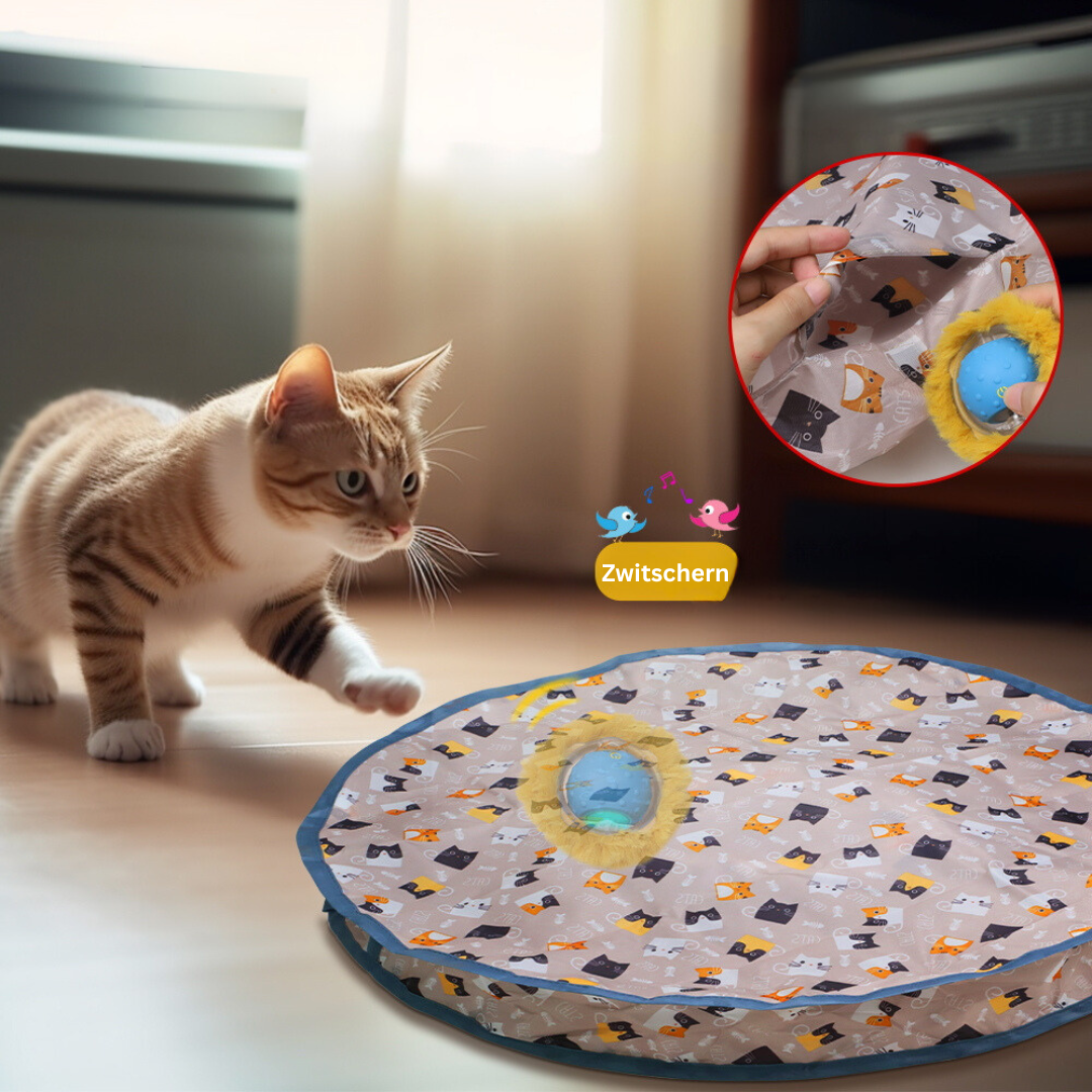 Spinny - interaktives Spielzeug