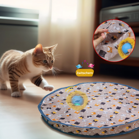 Spinny - interaktives Spielzeug