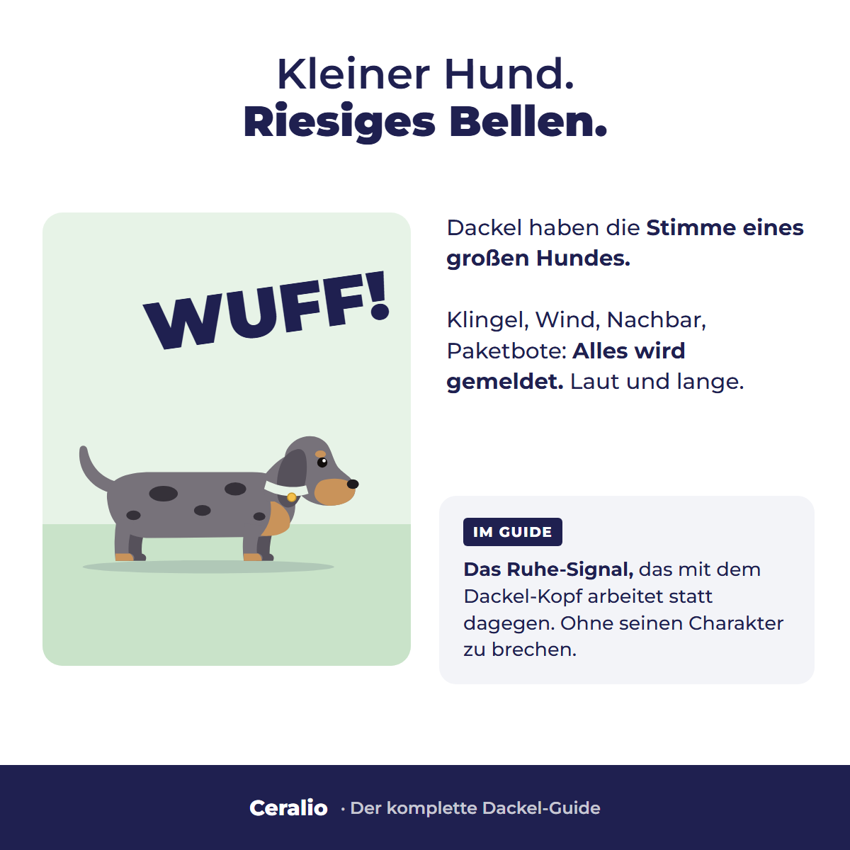 Kleiner Hund, riesiges Bellen