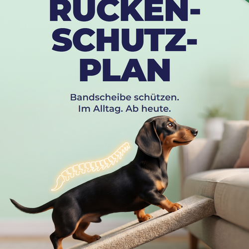 Der Rücken-Schutz-Plan