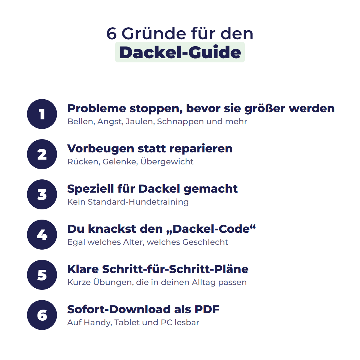 6 Gründe für den Dackel-Guide