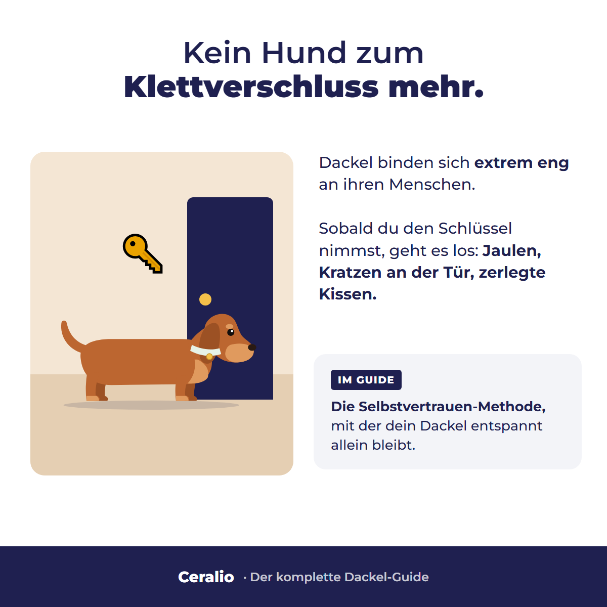 Kein Hund zum Klettverschluss mehr