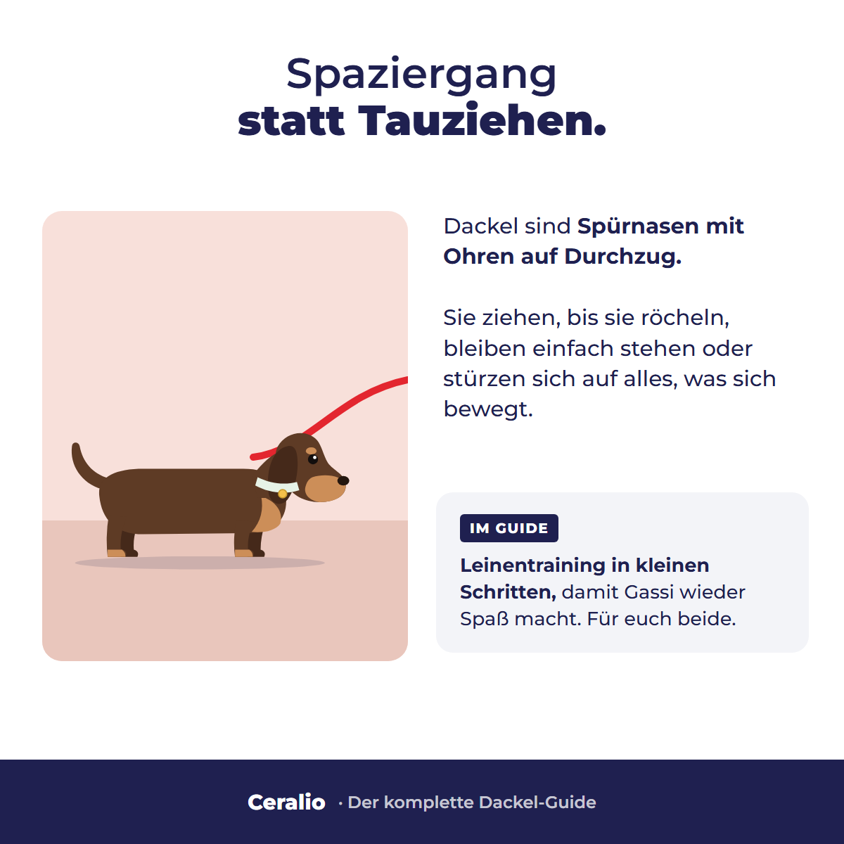 Spaziergang statt Tauziehen