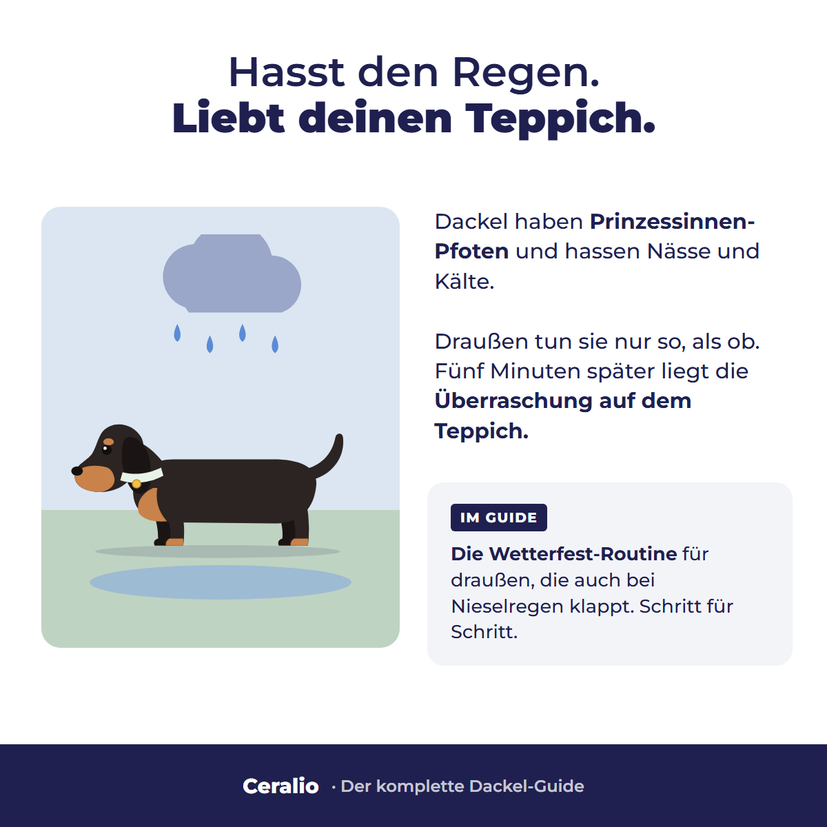 Hasst den Regen, liebt deinen Teppich