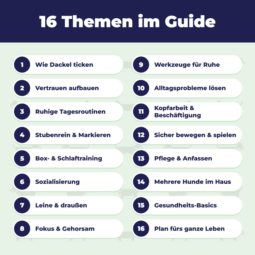 16 Themen im Dackel-Guide