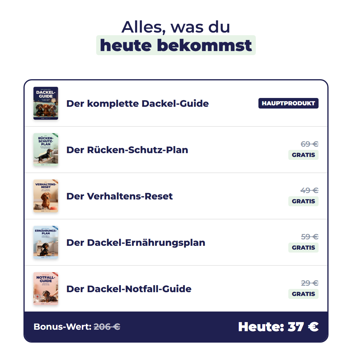 Alles, was du heute bekommst