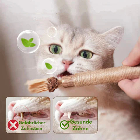 Kauli - Zahnreinigung & stundenlanger Spielspaß in Einem!